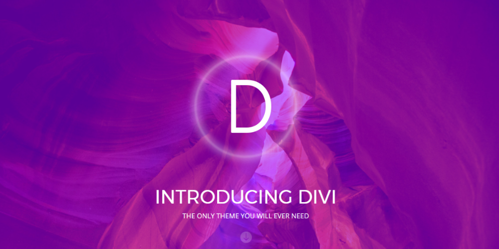 Wordpress business theme Divi