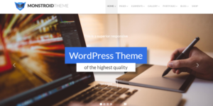 WordPress business theme Monstroid