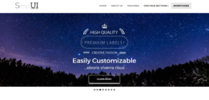 WordPress Business Theme