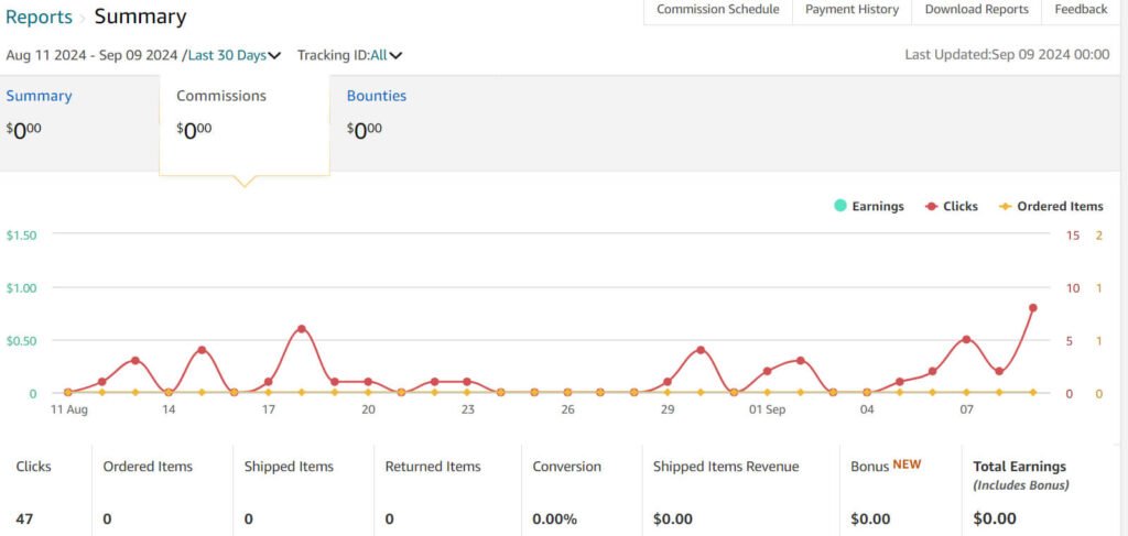 Why Website SEO is More Effective for Amazon Affiliates Than Relying on Pinterest Clicks? Amazon affiliate dashboard